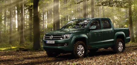 You are currently viewing Sportholzfällen mit dem Amarok.